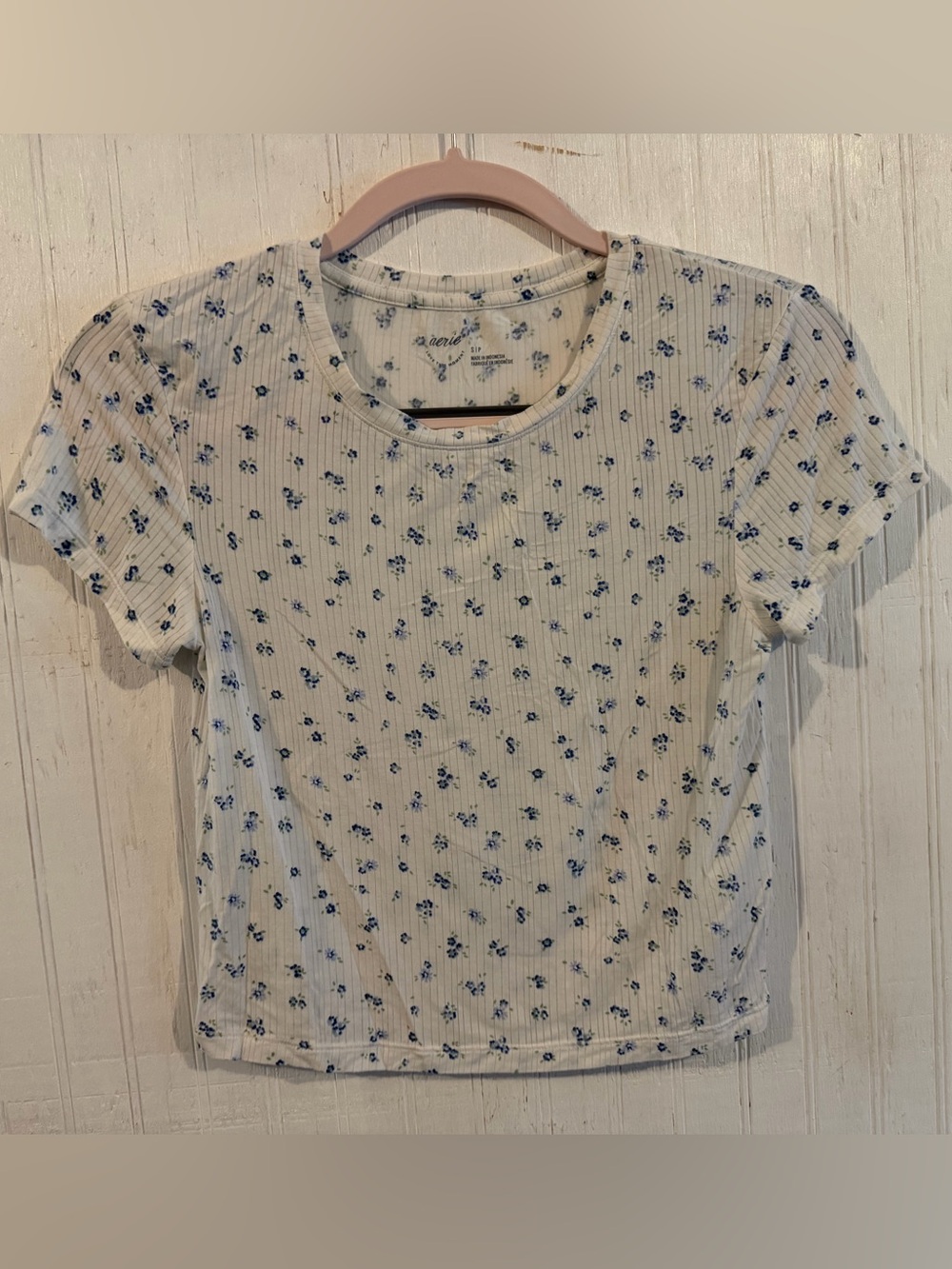 Aerie Cream Ribbed Tee with Blue and Green Floral Print